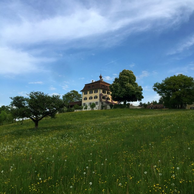 Large building on top of a hill surrounded by trees and smaller buildings