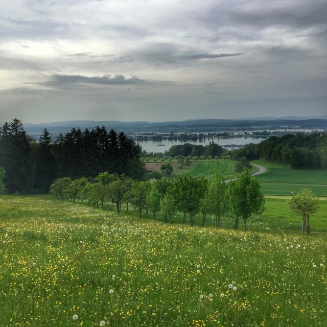 Hilltop view looking down at green fields, trees and a stretch of water