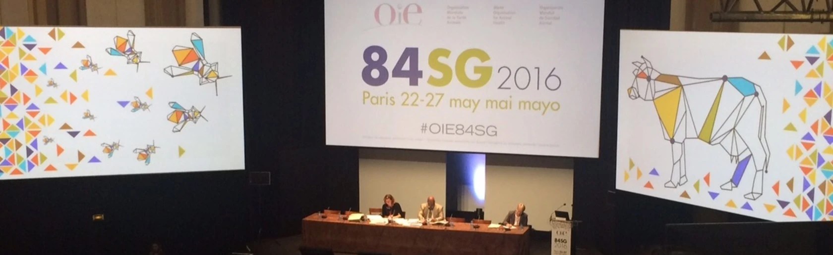 Delegates in an auditorium listening to 3 speakers sat at a table in front of 3 video screens