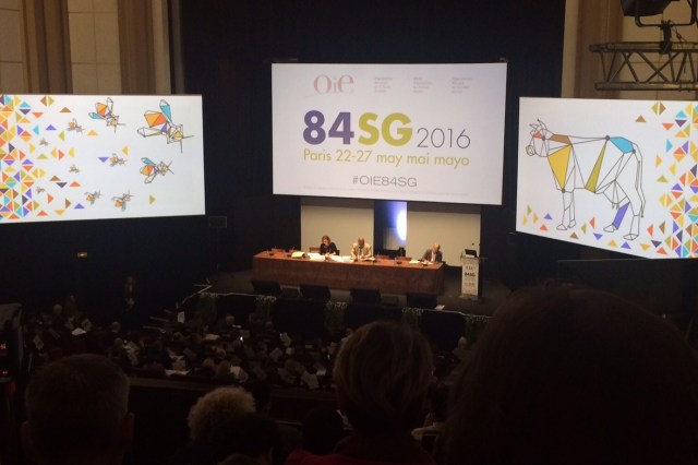 Delegates in an auditorium listening to 3 speakers sat at a table in front of 3 video screens