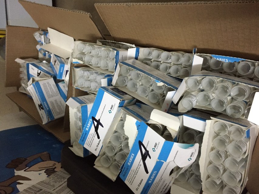 Boxes of empty vaccine bottles