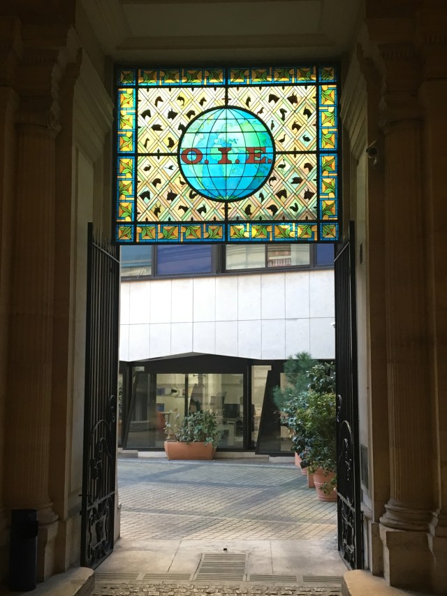 An ornate doorway, with a stained glass window above it, in an old building opens out to a courtyard with another building opposite