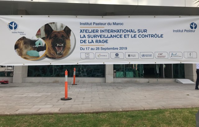 Banner advertising Rabies Workshop Pasteur in Morocco