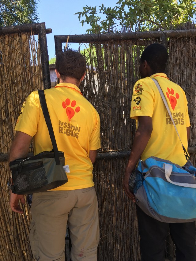 Two men at an open gate facing someone who is unseen by the camera