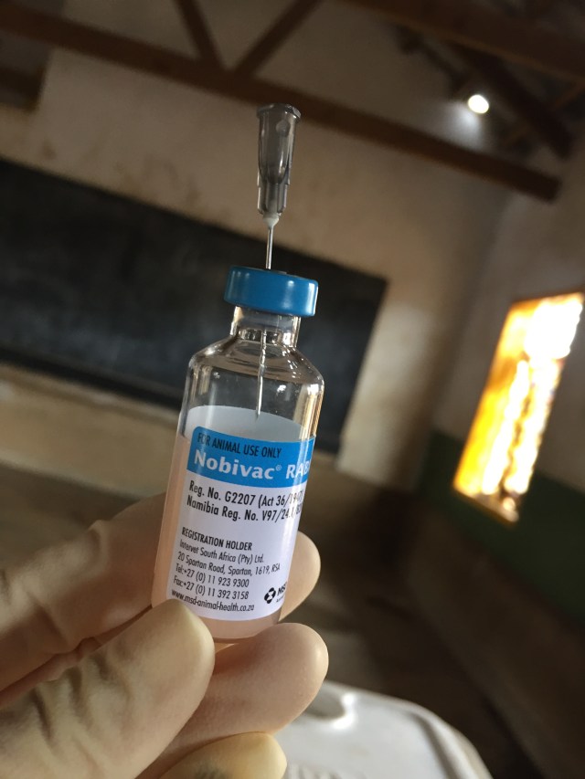 Hand holding a vaccine bottle with a syringe inserted at the top