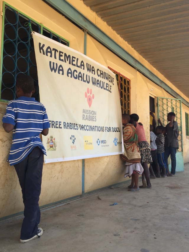 Children peering in the windows of a building which has a rabies banner on it