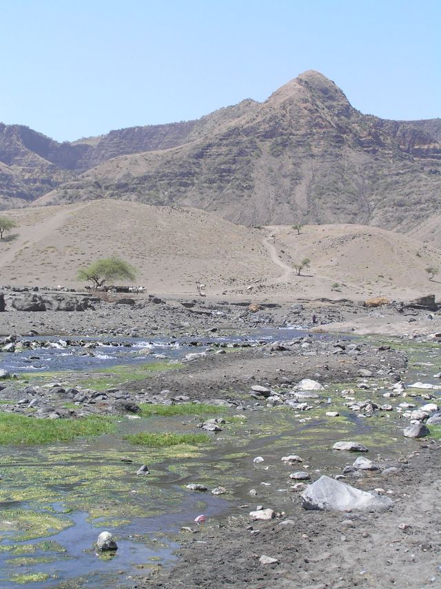 Focus On Tracking the movement of livestock - River at bottom of African mountain with a herd of cattle nearby
