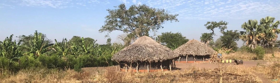 Two African huts in a clearing, surrounded by bushes and trees
