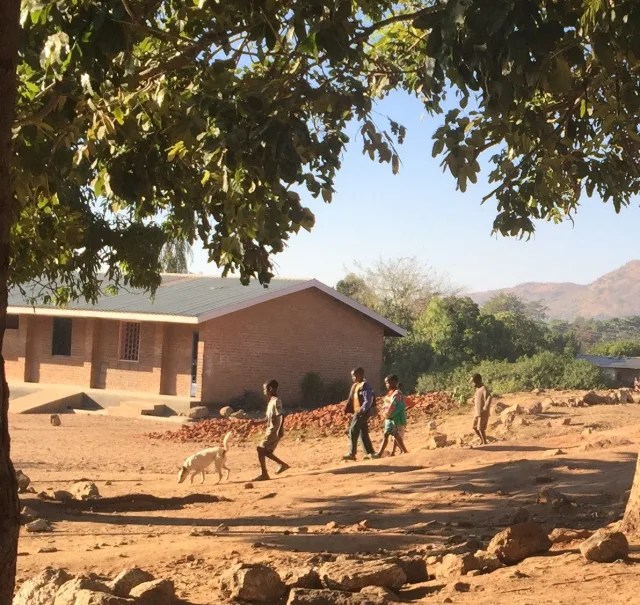 Focus On… Rabies elimination – lessons from experts on the ground